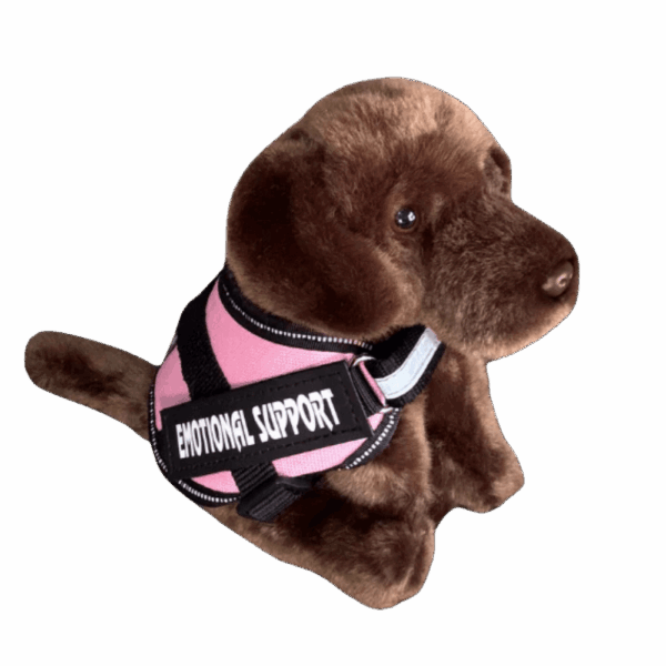Chocolate Labrador Plush Dog Emotional Support Stuffed Animal ESSA