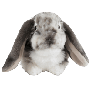 Dutch Lop Rabbit Emotional Support Stuffed Animal ESSA