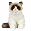 Ragdoll Plush Cat Emotional Support Stuffed Animal ESSA