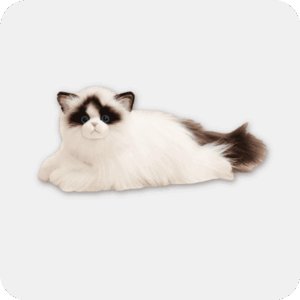 Ragdoll Plush Cat | Emotional Support Stuffed Animal | ESSA