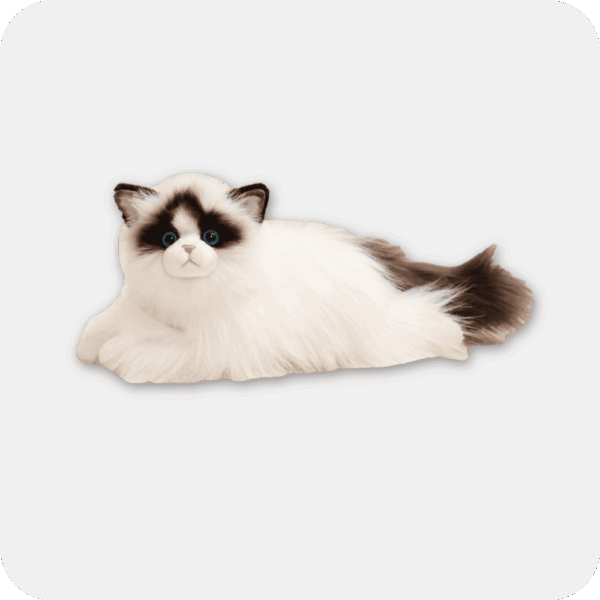 Ragdoll Plush Cat | Emotional Support Stuffed Animal | ESSA