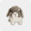 Dutch Lop Rabbit | Emotional Support Stuffed Animal | ESSA