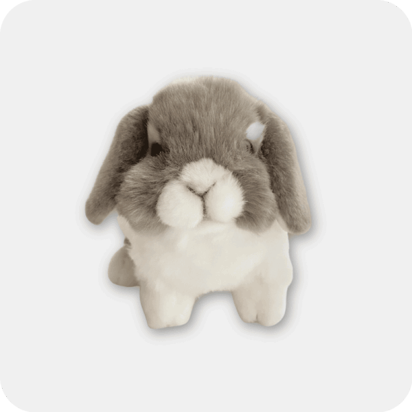Dutch Lop Rabbit | Emotional Support Stuffed Animal | ESSA
