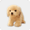 Golden Retriever Dog | Emotional Support Stuffed Animal | ESSA